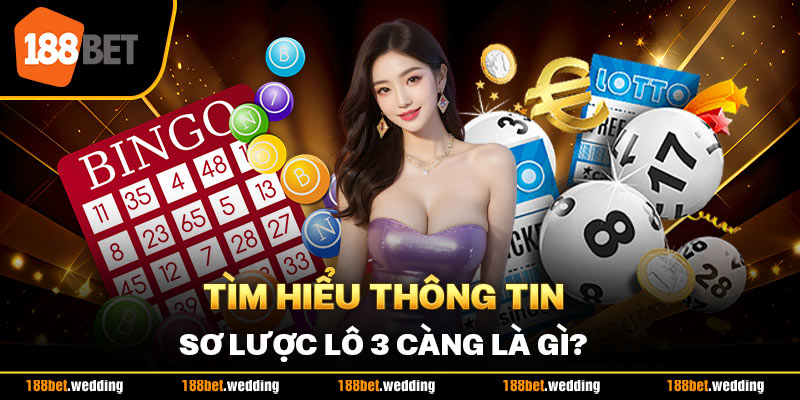 Tìm hiểu thông tin sơ lược lô 3 càng là gì?